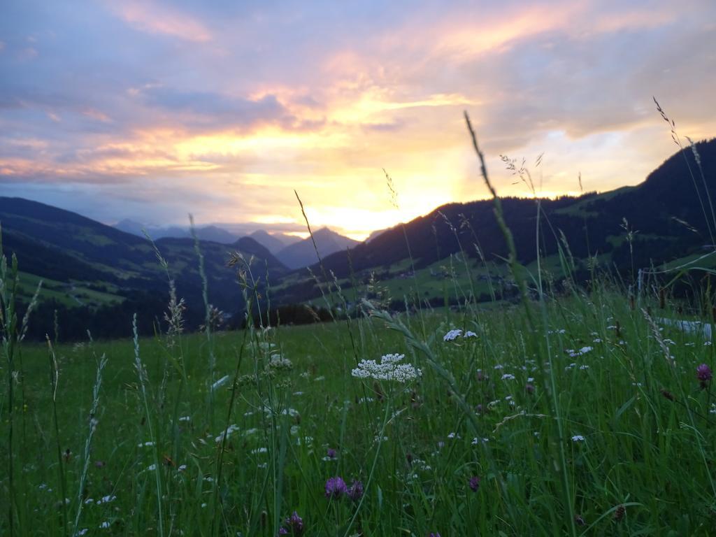 Anna'S Appartement Alpbach Exterior photo